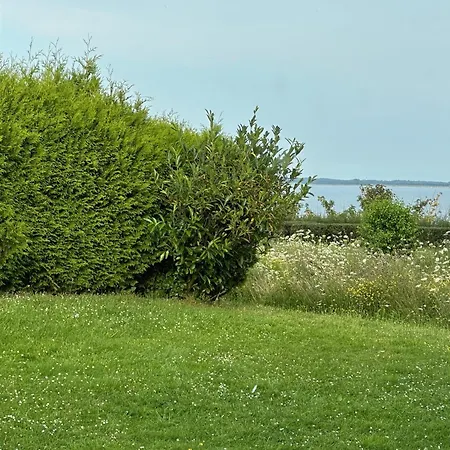 Hohes Ufer Kiebitz * Hohwacht